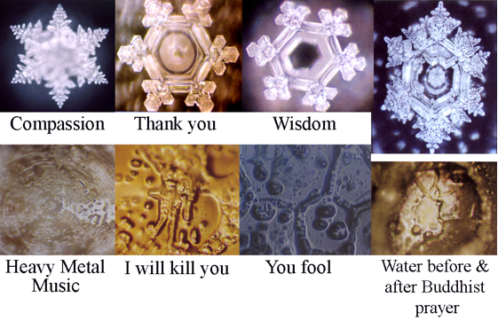 emoto water crystals